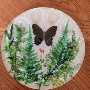 Vintage  Lucite Deviled Egg Plate Dried Flowers, Butterfly, Ferns 10 Slots
